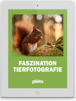 DigitalPhoto Faszination Tierfotografie DigitalPhoto Faszination Tierfotografie